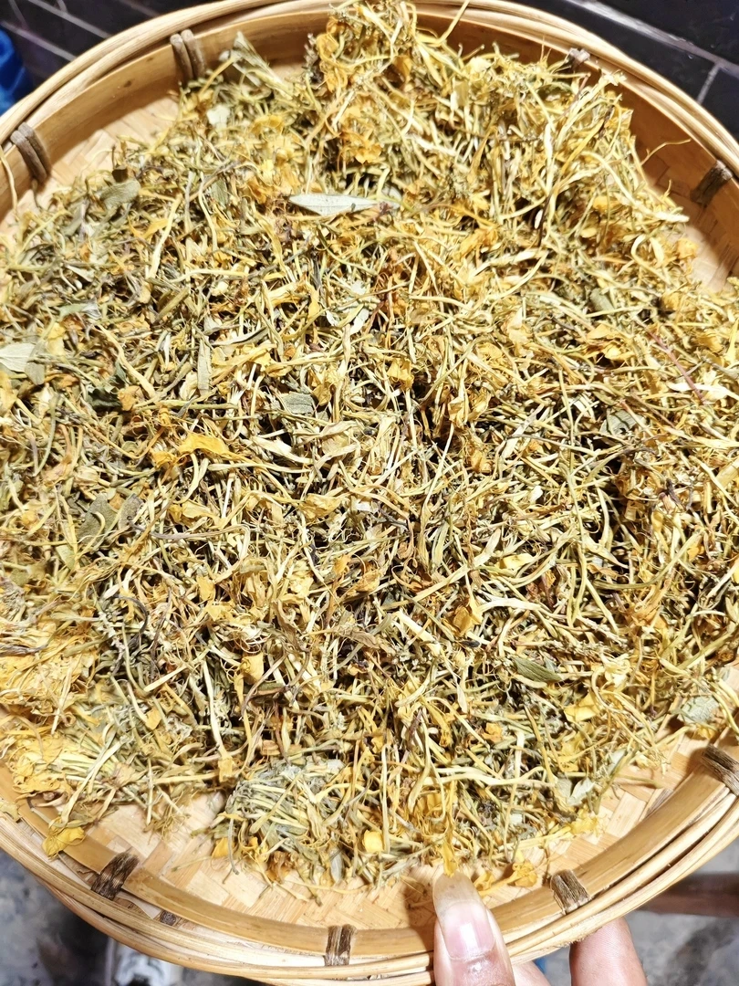 农家自晒干净卫生已开花金银花