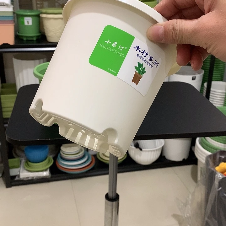 小果汀15口白10个无托