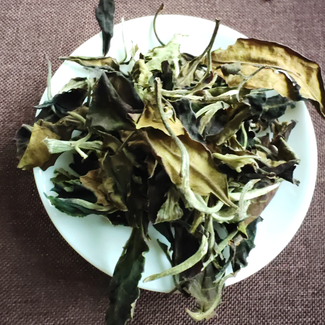 班章古树白茶私藏茶