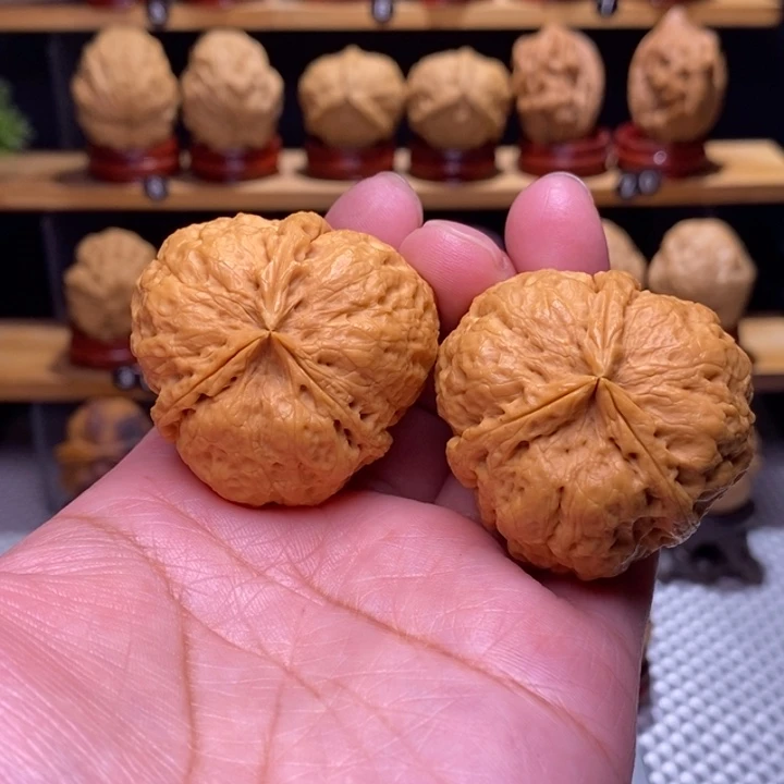 木质类云铁凹江龙19号