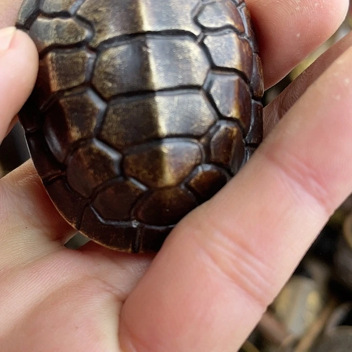 I don’t know if you can