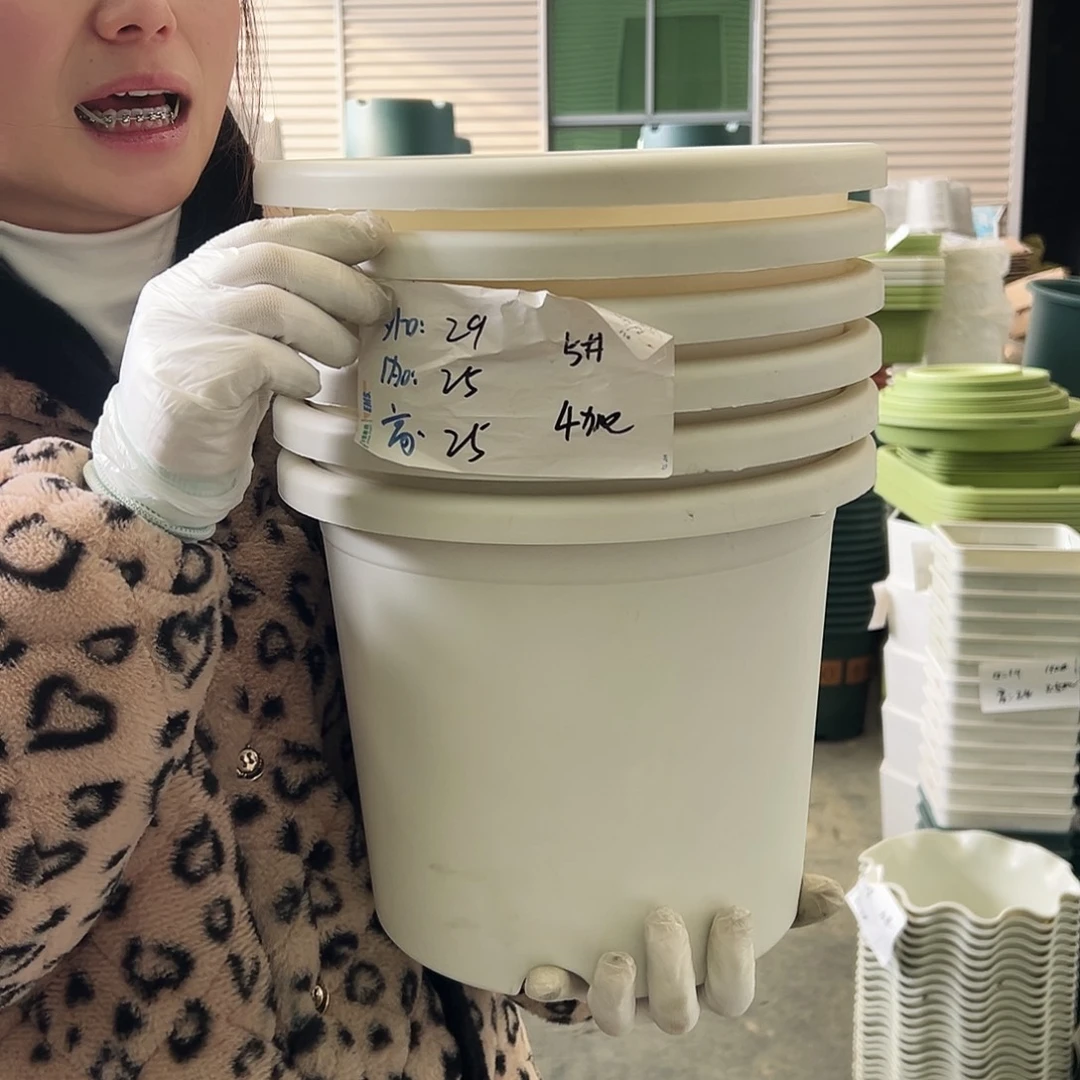 四季盆5#白色6个无托