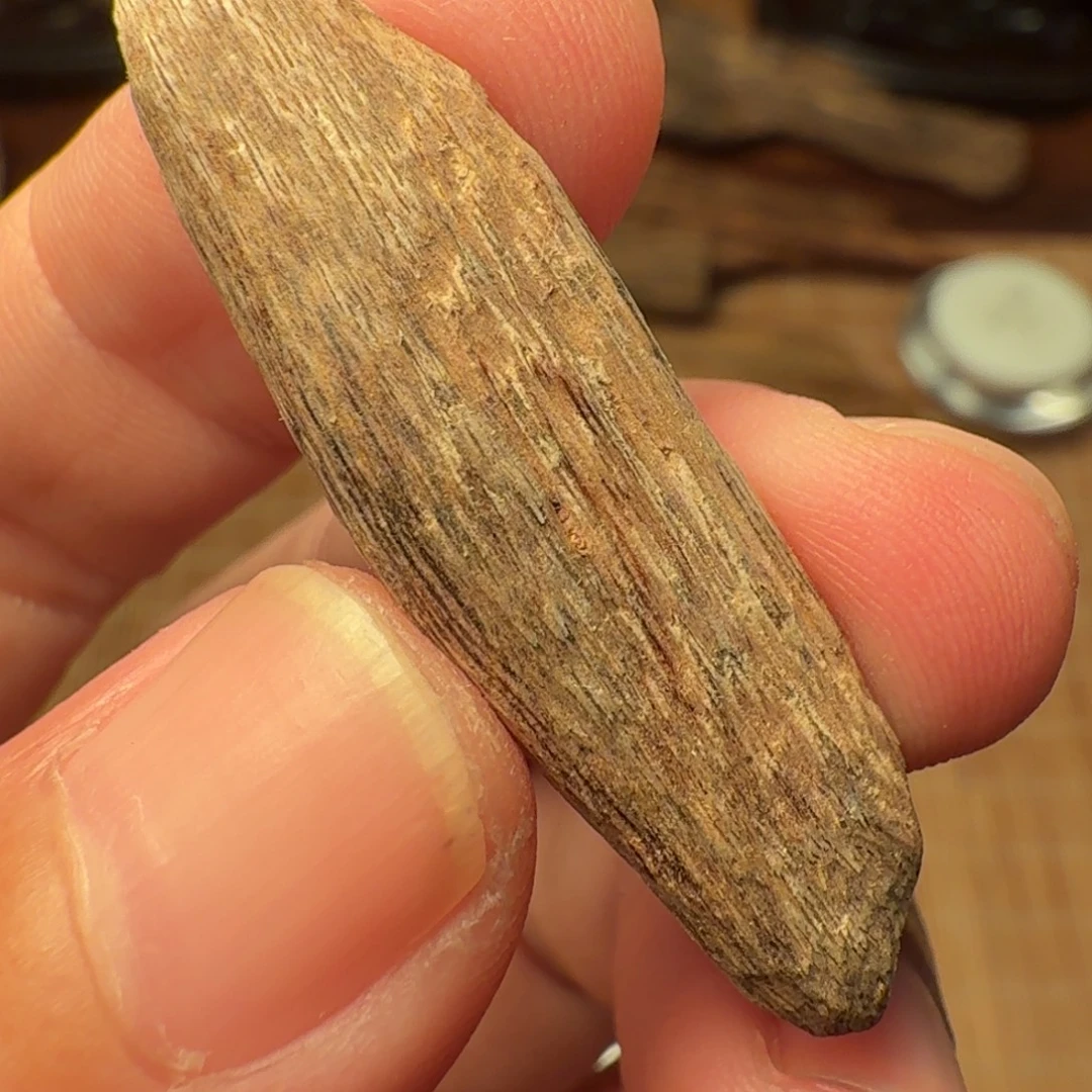 沉香国香海南瓜子