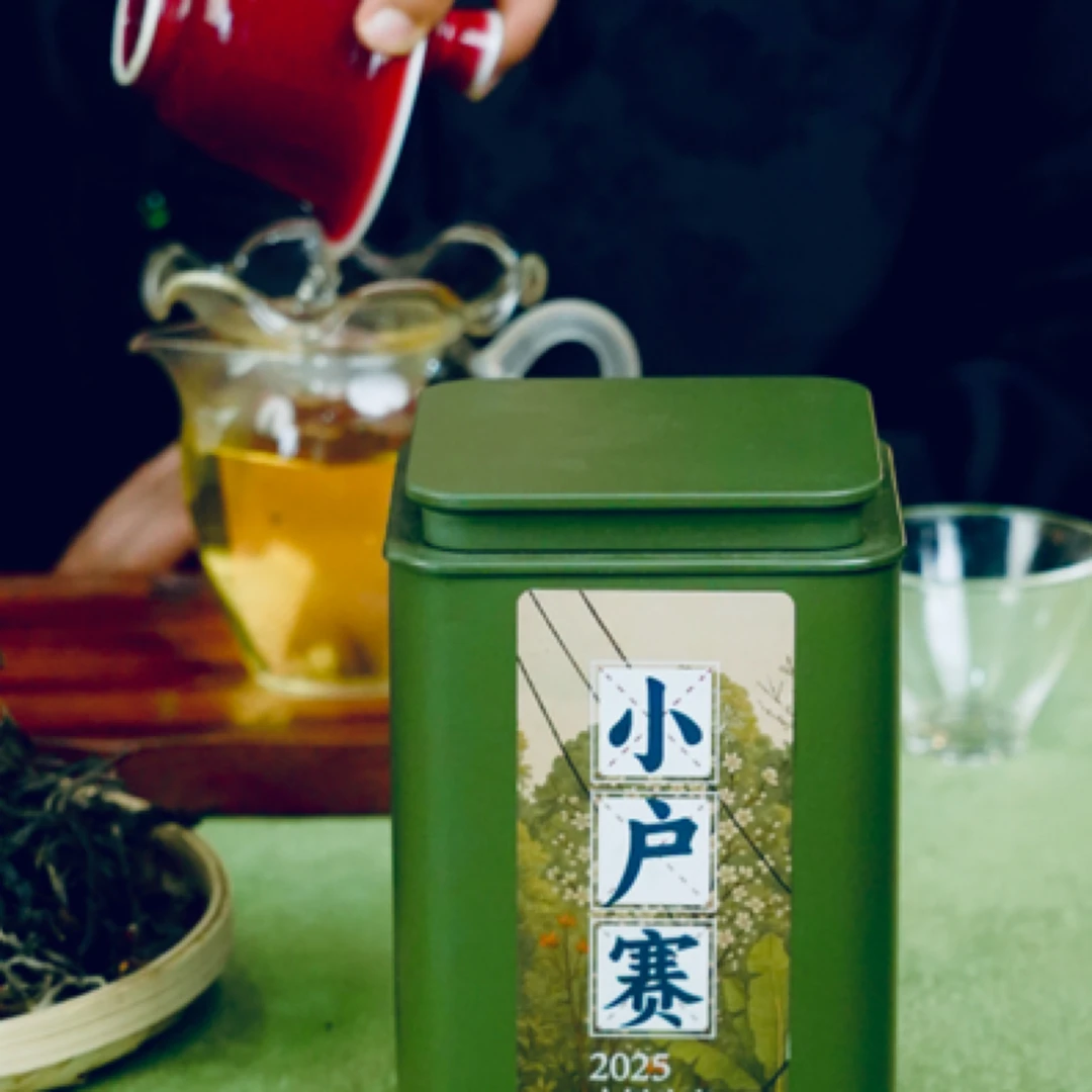 小户赛2025古树头春翠美茶社茶姐推荐普洱茶