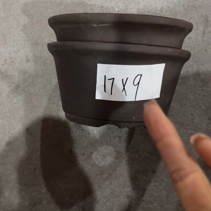 花盆紫砂紫砂的花
