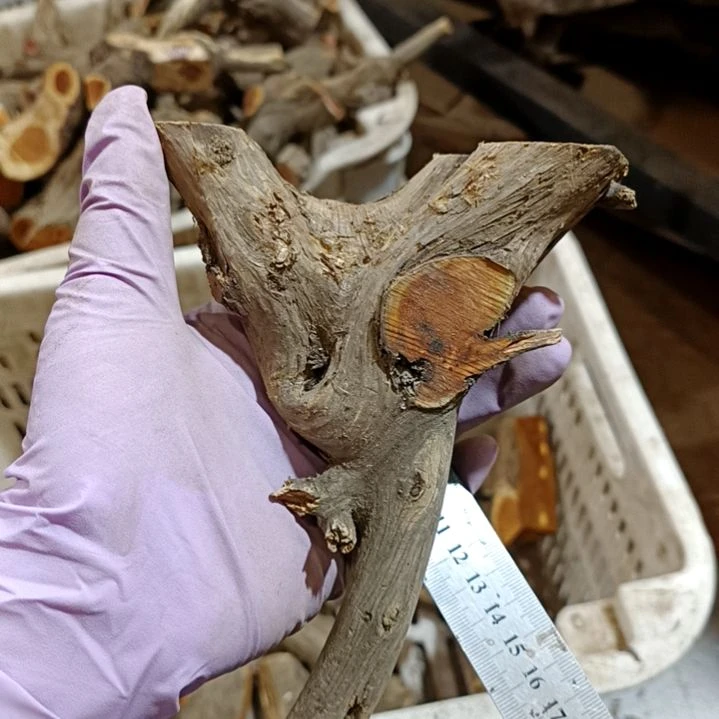 翾***爸香榧木崖柏随行毛料毛料