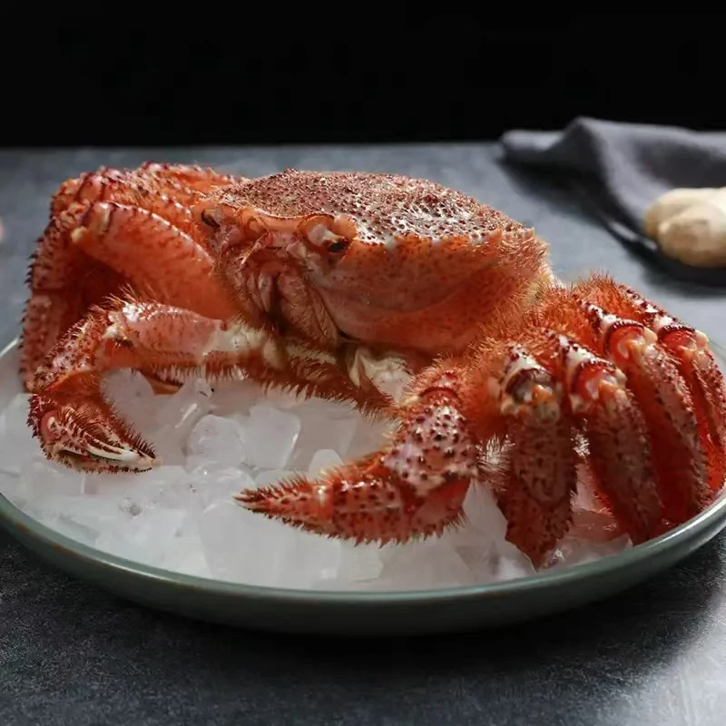 红毛蟹（福袋）一只