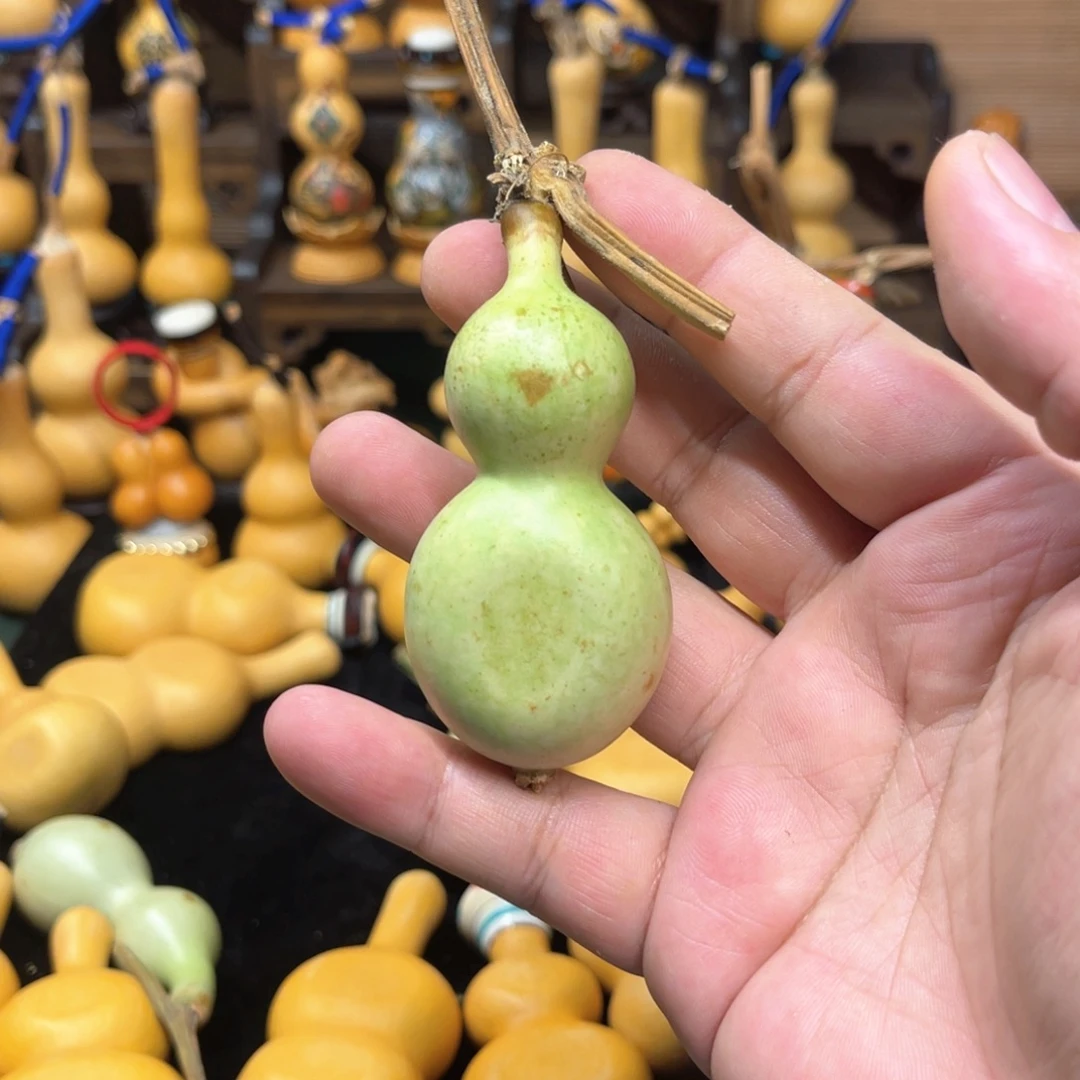 爱***走葫芦哈哈哈哈哈哈哈哈哈哈