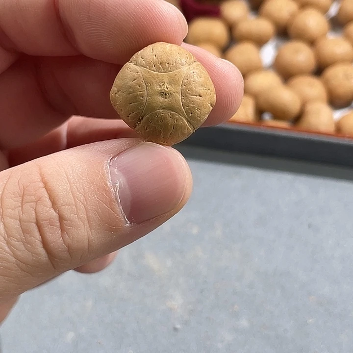 手串凤眼菩提尼泊尔小凤眼