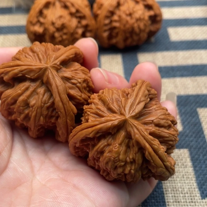 李***峰核桃白狮子43核桃