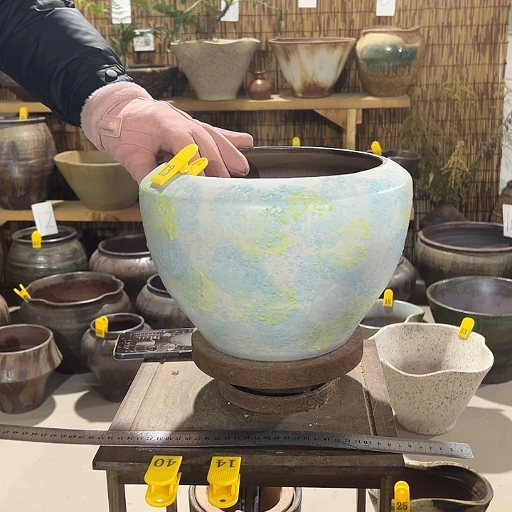 高20/23花盆发vv宝贝