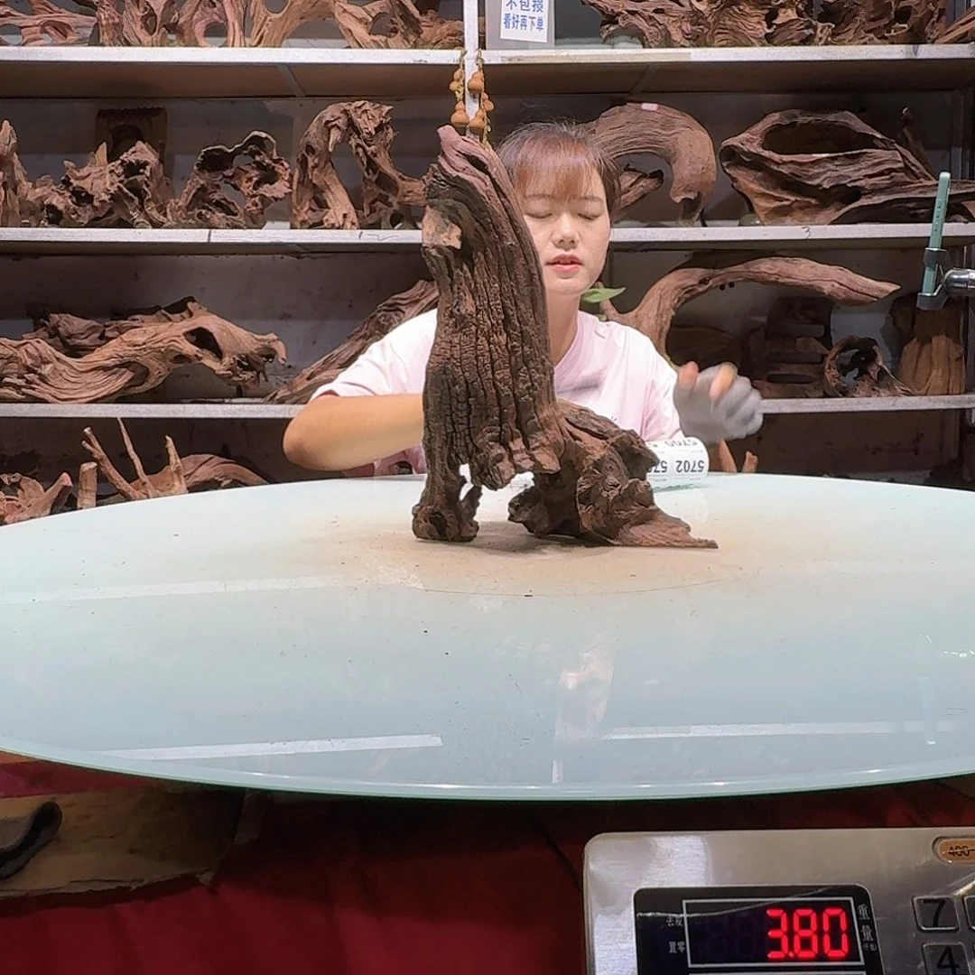 紫砂镂空紫柚不包损5694一*间