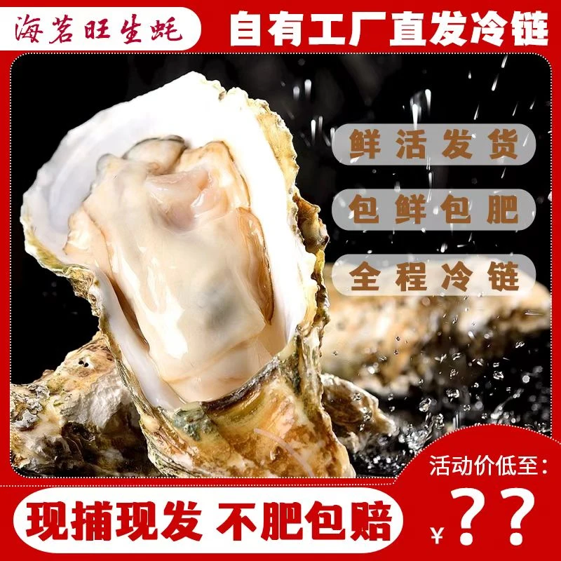 【买5斤送5斤】新鲜正宗原产地鲜活生蚝牡蛎海蛎子包邮蒸煮烤生蚝①