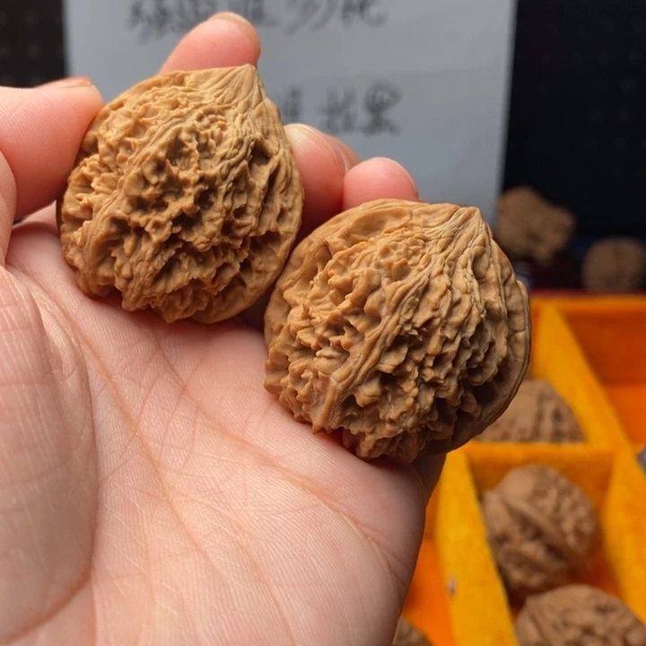 木质类36尺满天星