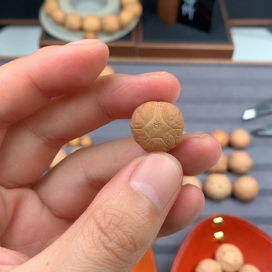 手串凤眼菩提17+五星，非质量问题开孔不退