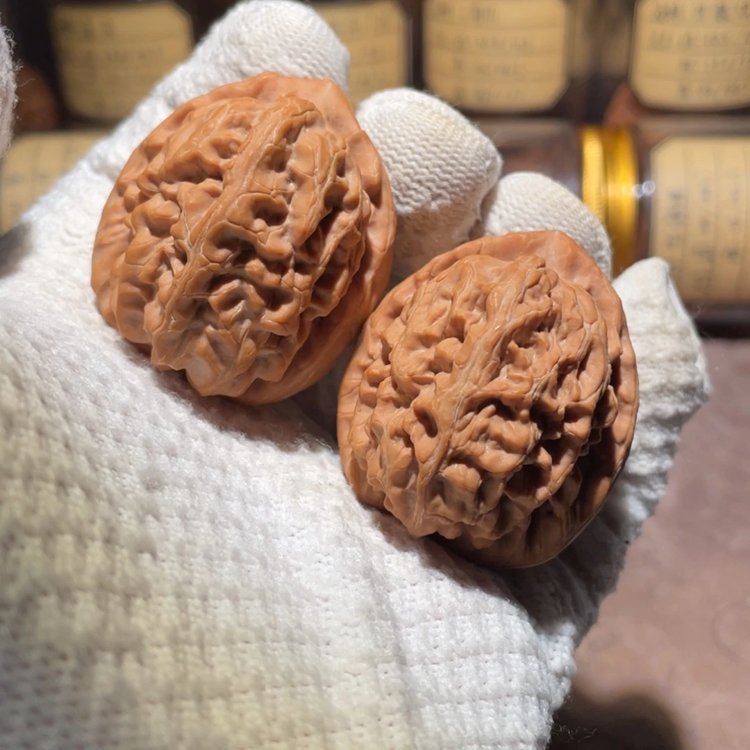 核桃41洪锦鲤lllllll