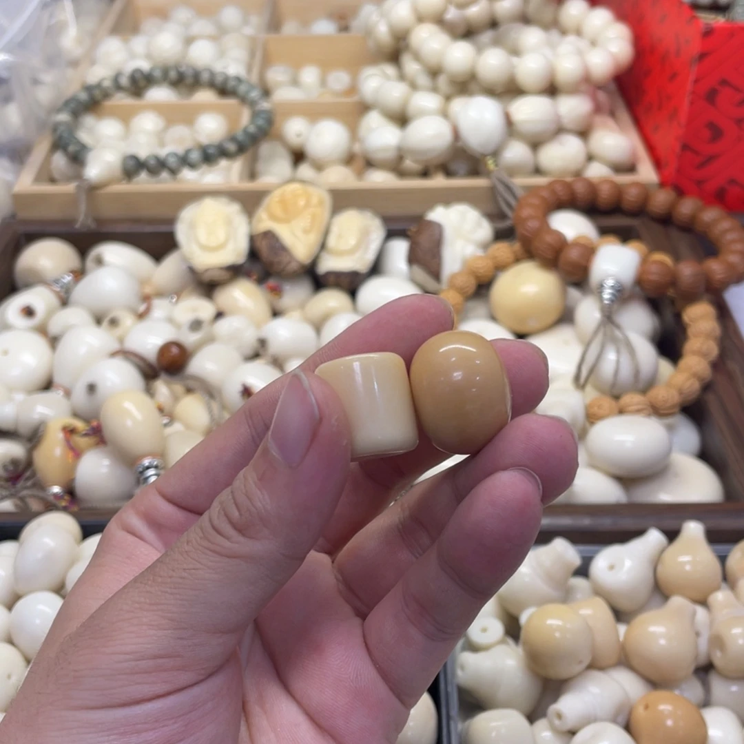 A***氵吊坠菩提根/象牙果