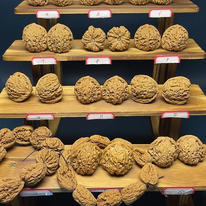 涿鹿南将山地凹底三角高炮