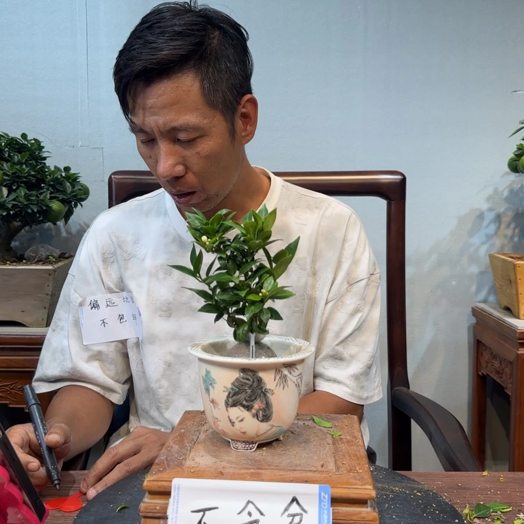 当前无花朵，栽培后可花朵阿*