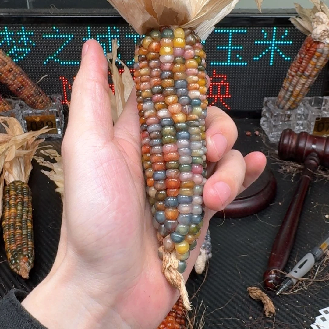 柏香籽/百香籽吊坠香**汁