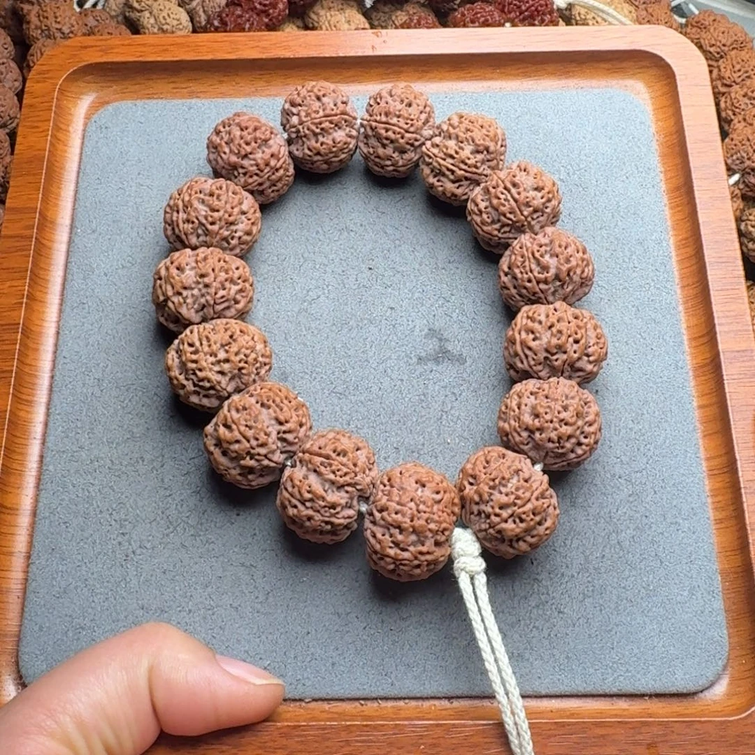 *****菩提菩提15号尼泊尔大金刚24六瓣梅花