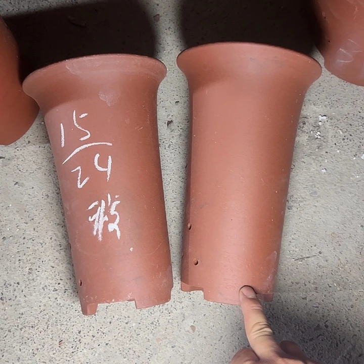 周深周深周深周深周深