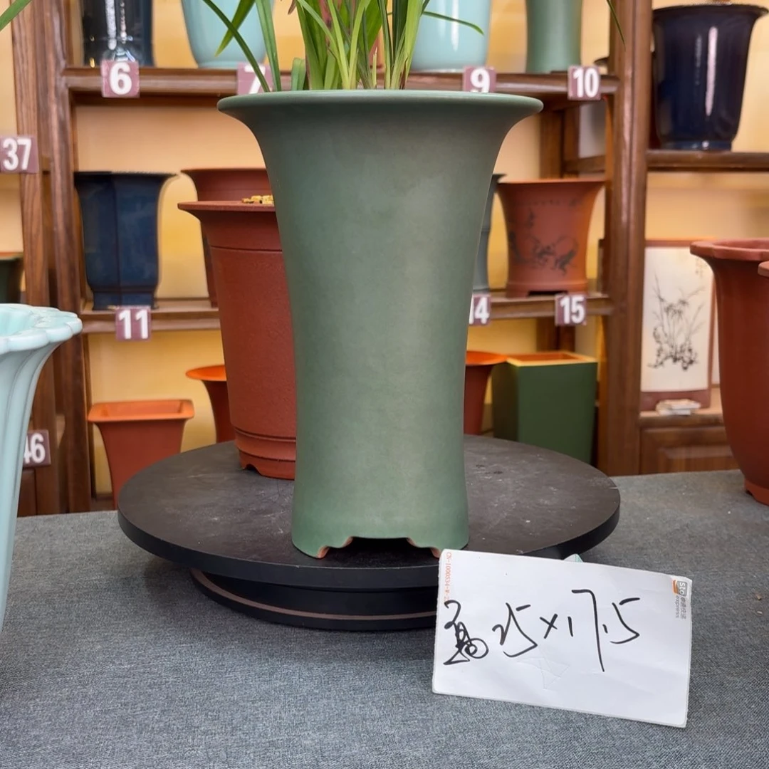 紫砂花盆兰花85585578558558