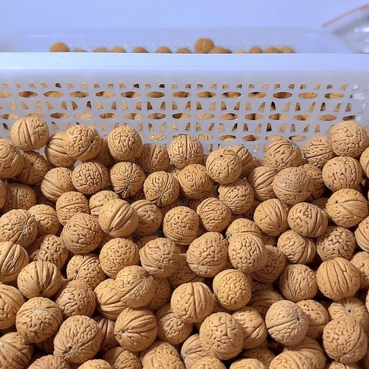 黑***书吊坠桃核原皮原色南瓜散籽