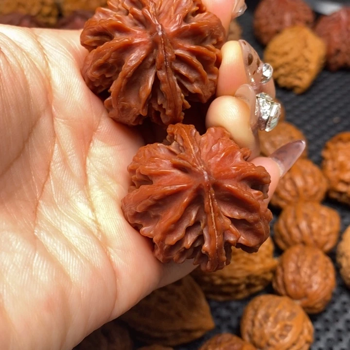 秦岭野生0000900015