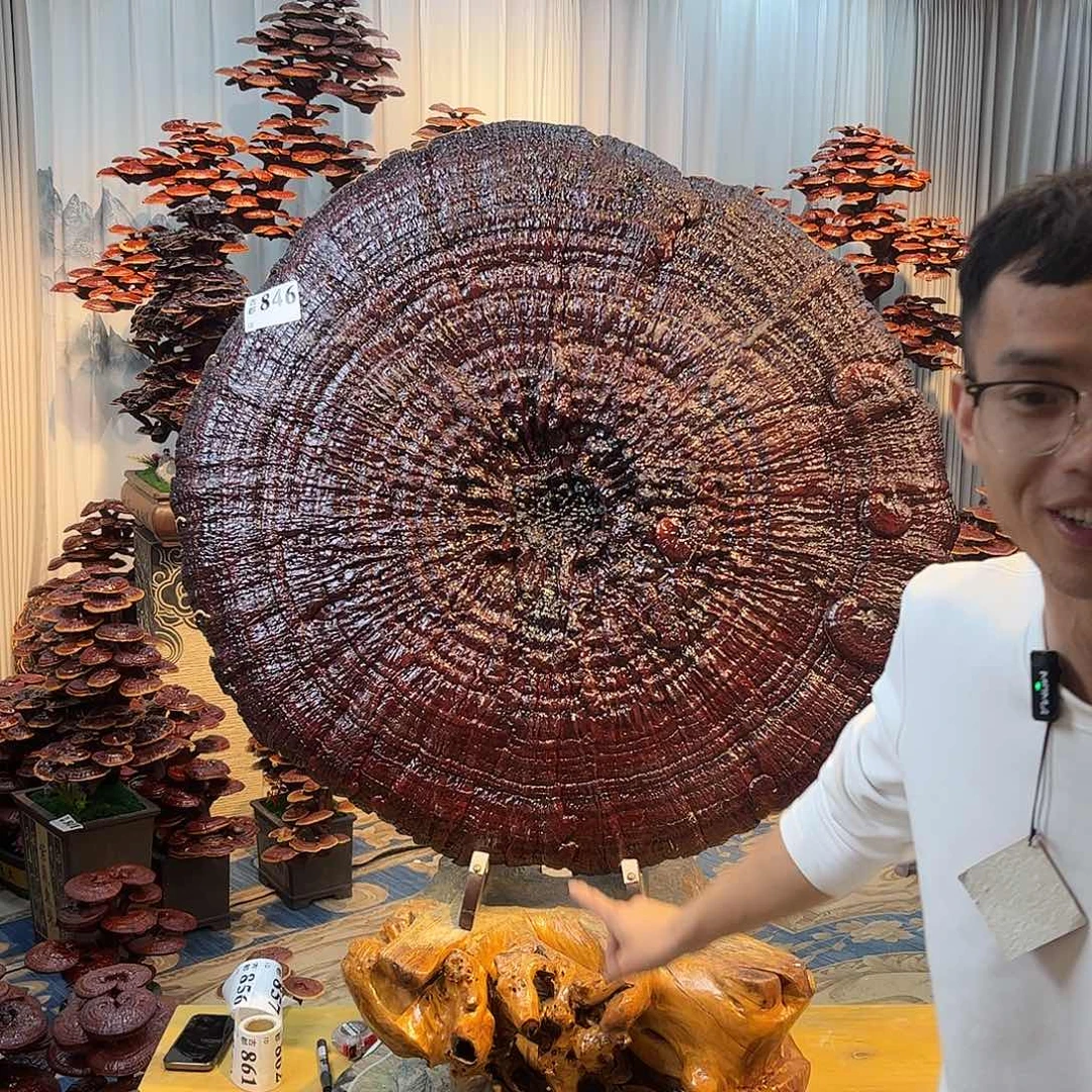 无花朵88888888888