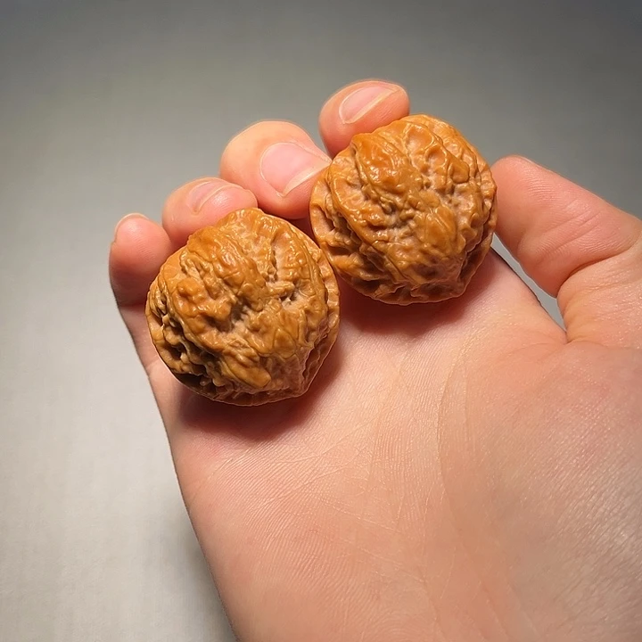 文玩核桃把件金蟾782