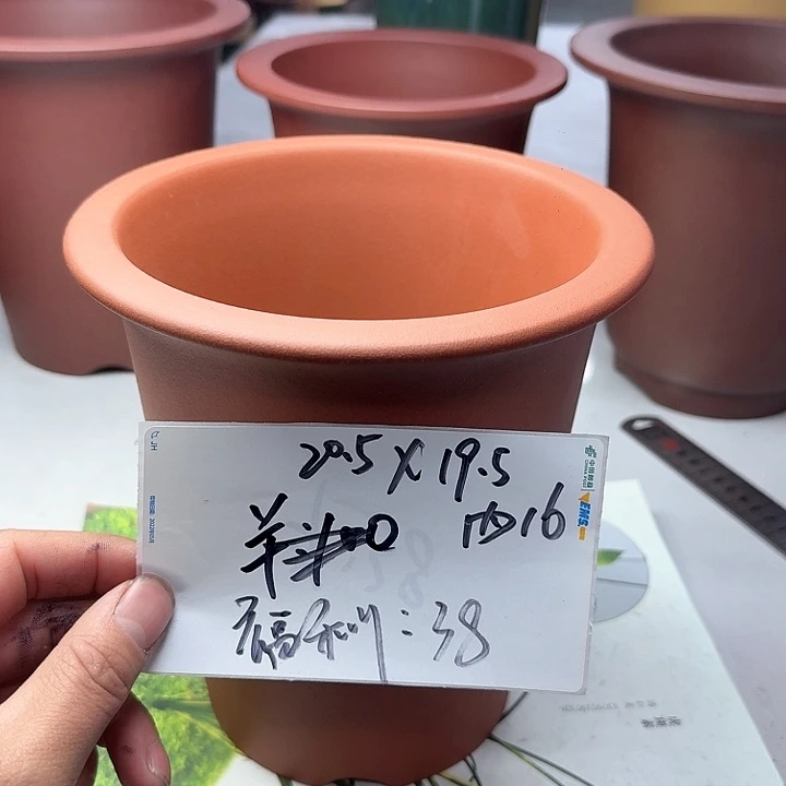 紫砂22222222222222222