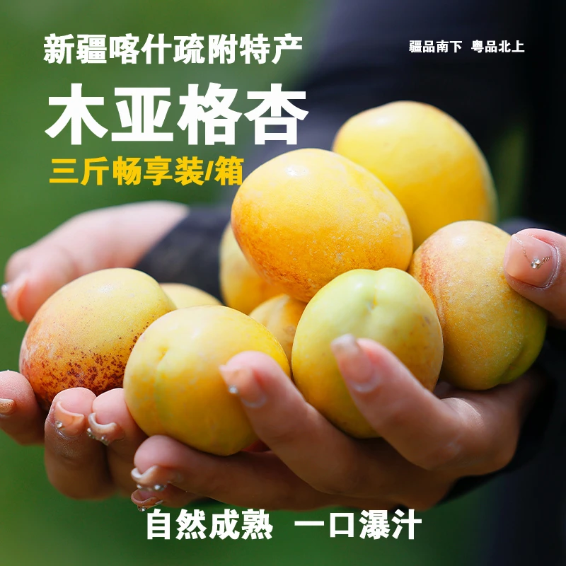 新疆疏附木亚格杏雪水浇灌一口爆汁甜仅限广东省内下单京东次晨达