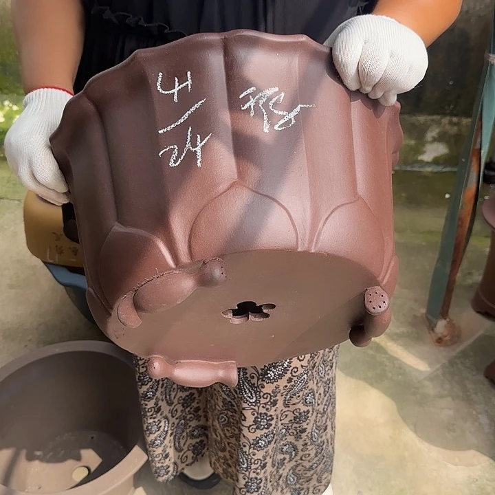 老***儿我就去看看她家门口