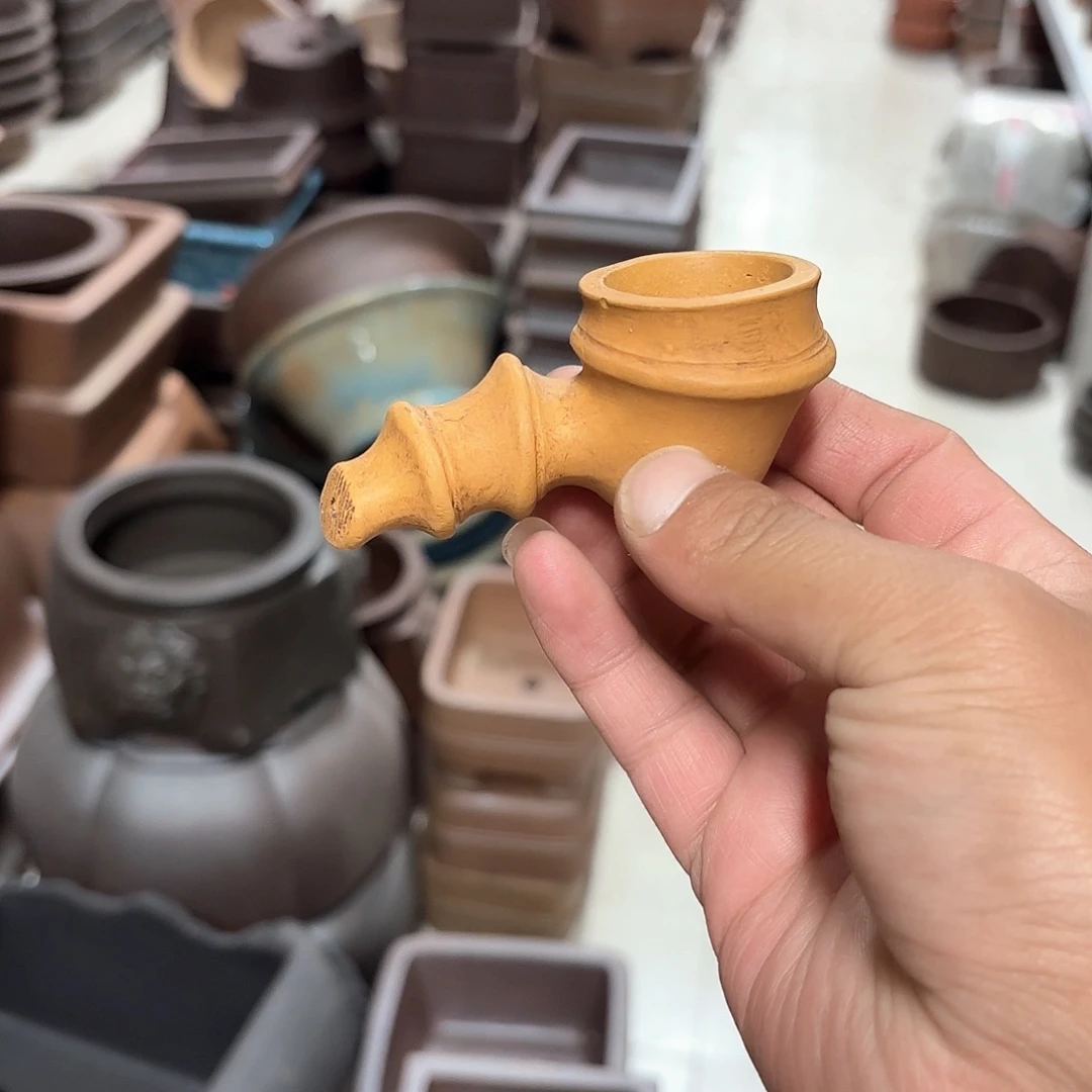 紫砂花盆一**室紫砂的花也太