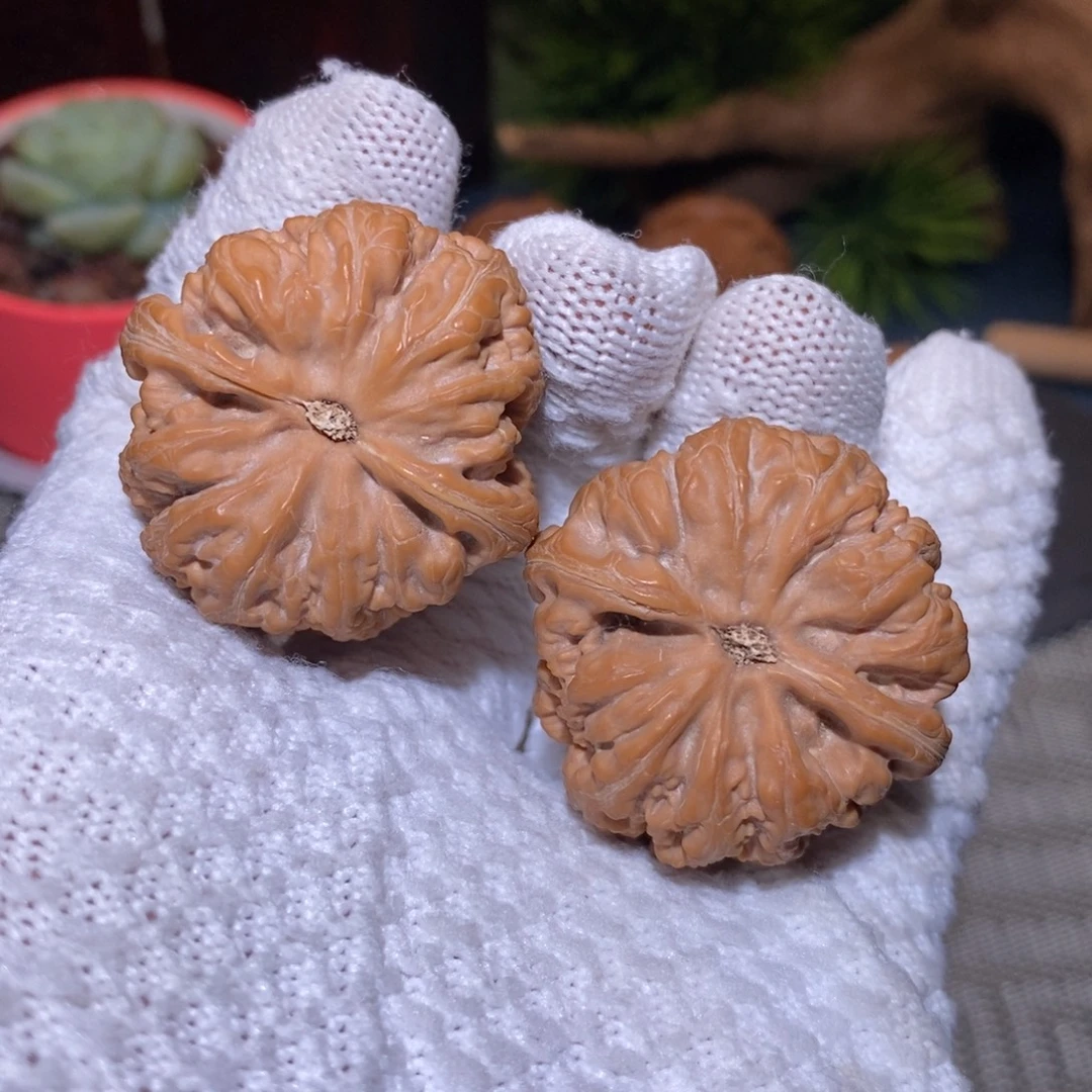 37尺 全品无修白茬 粗筋