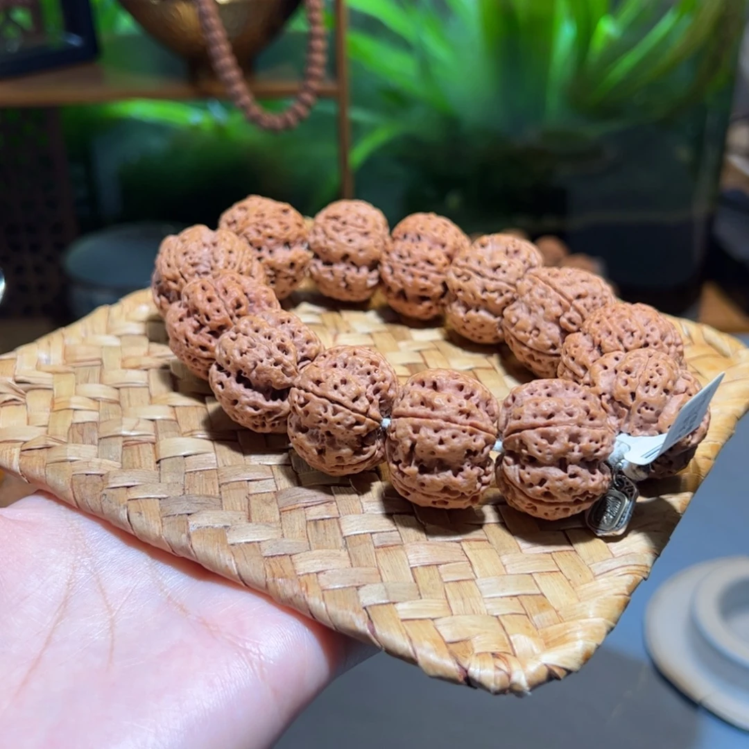 吊坠金刚菩提粗茎爆肉梅花26mm