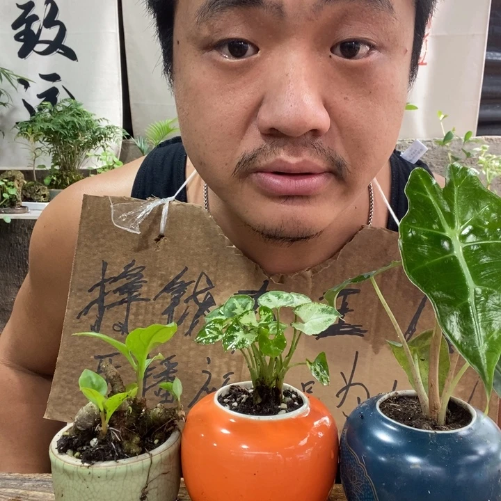 无花朵退款拉黑拉黑22