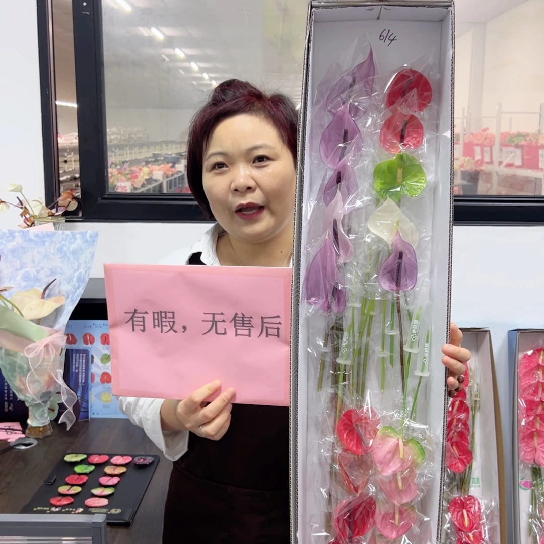完全开放混色-20枝装无售后款614