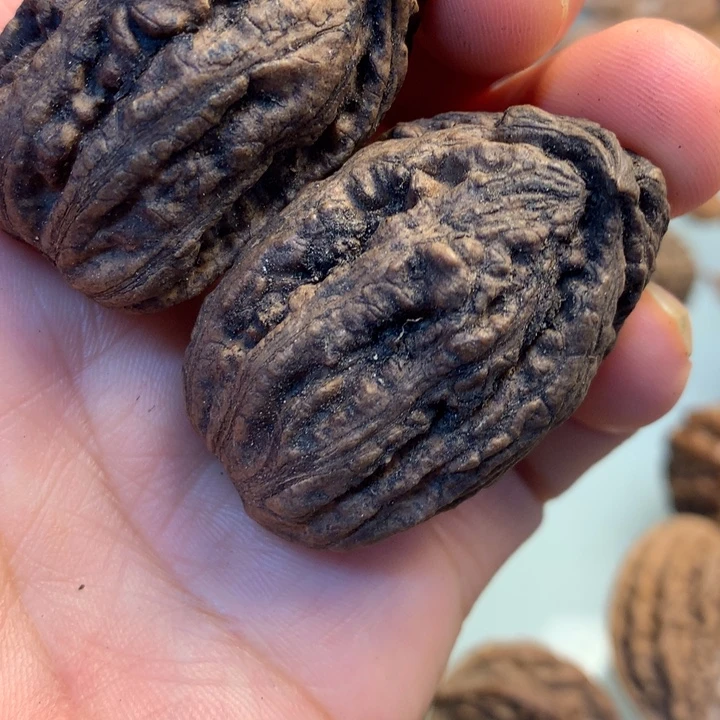 猴头核桃把件拿姐2