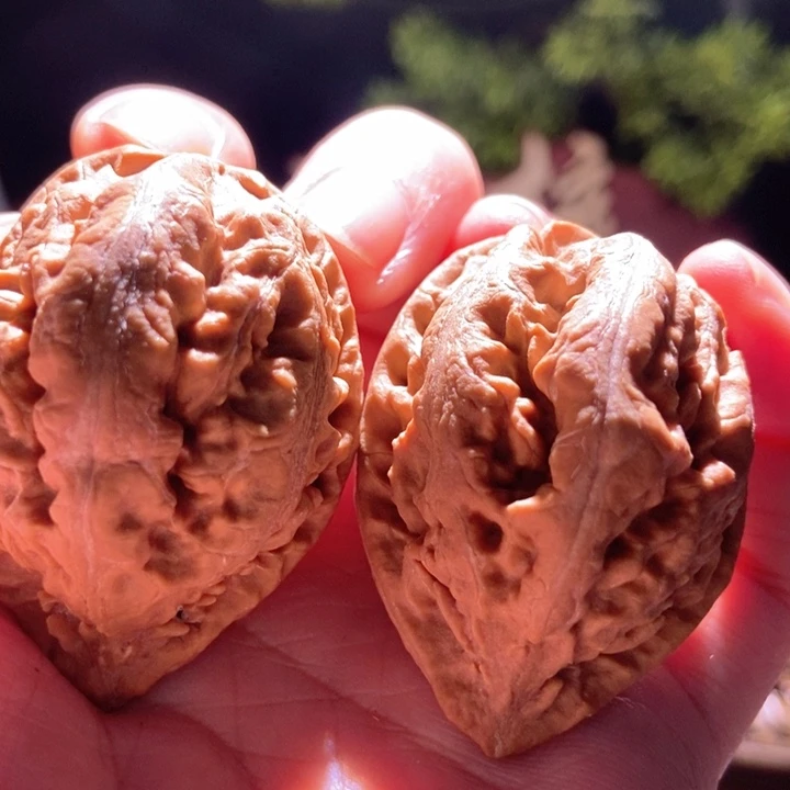 吊坠文玩核桃楸玥核34