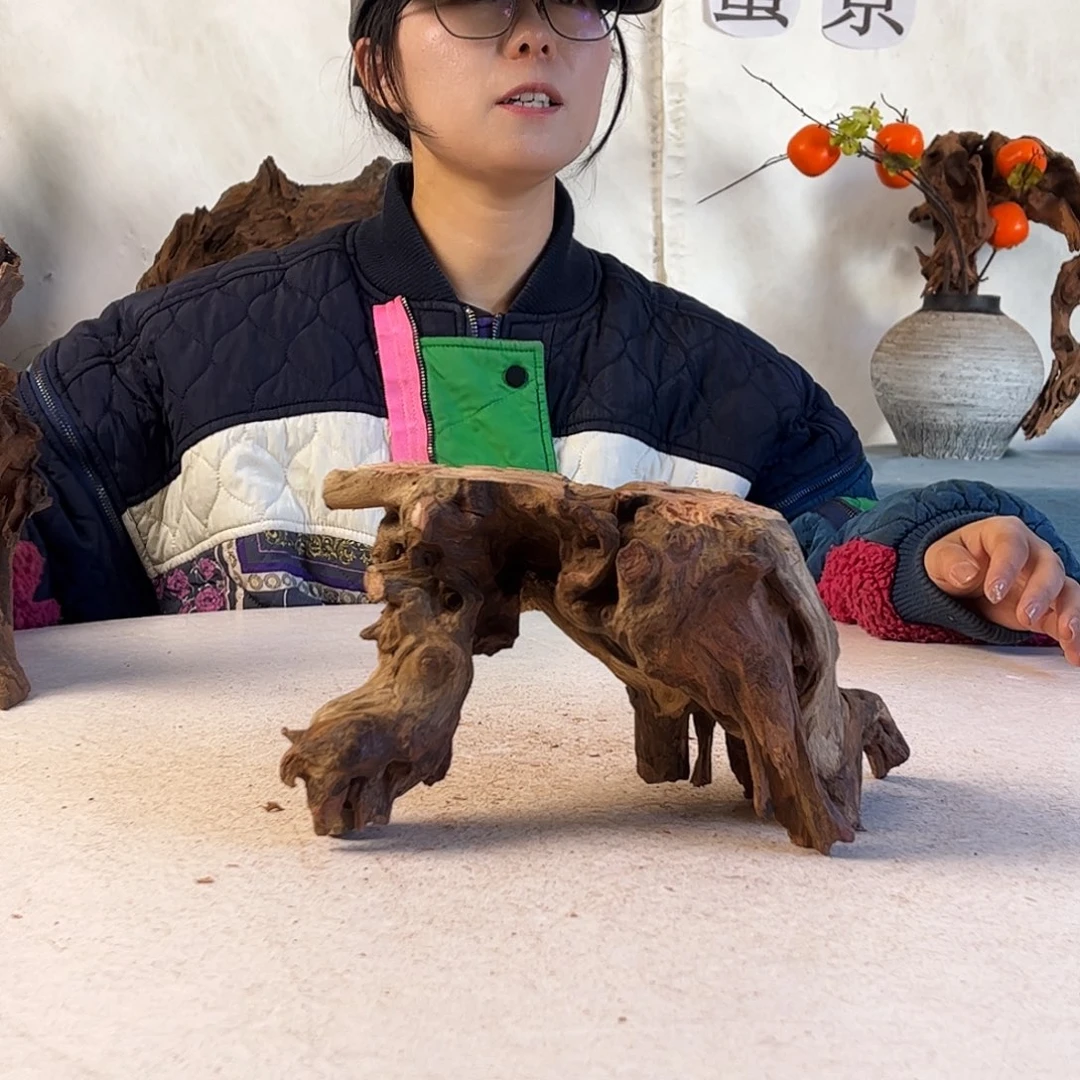 沉木造景寄居蟹造景