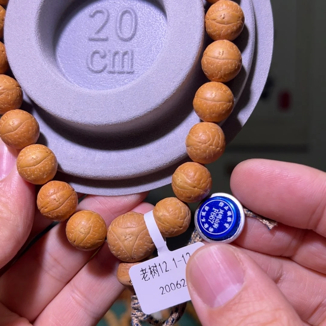 凤眼菩提手串老树