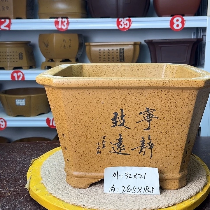 花盆紫砂你在一起