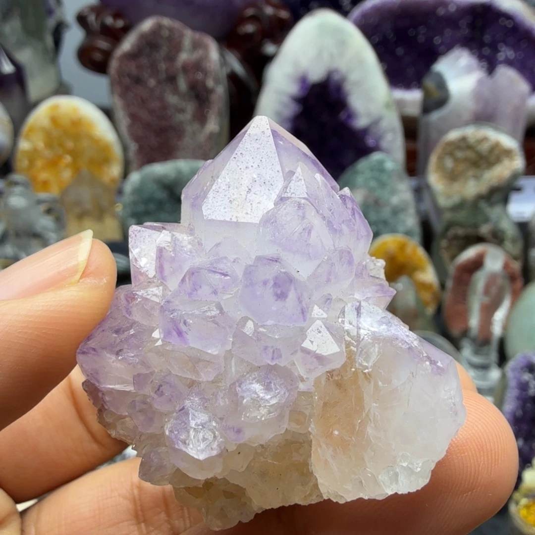 未镶嵌摆件紫晶南非仙人掌