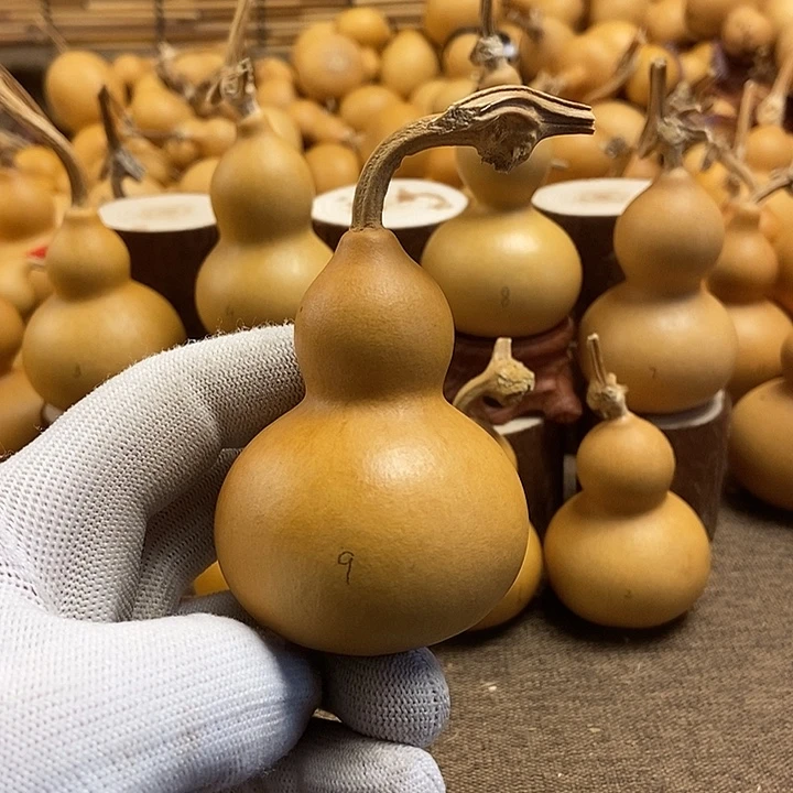 文玩葫芦 完美主义者 慎拍9