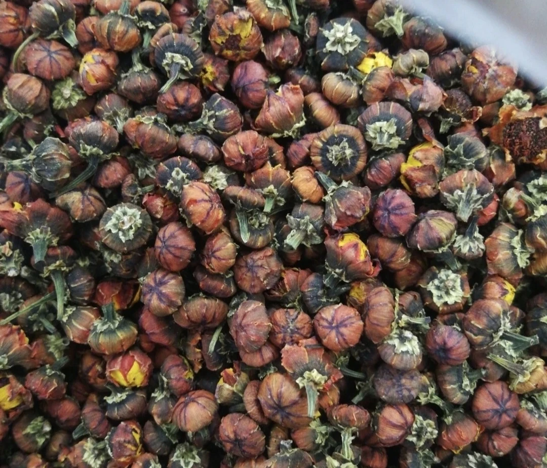 小宇专属农家雪胎菊