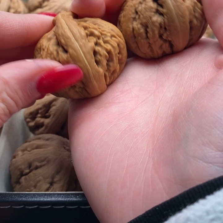 释***）把件文玩核桃霸王龙