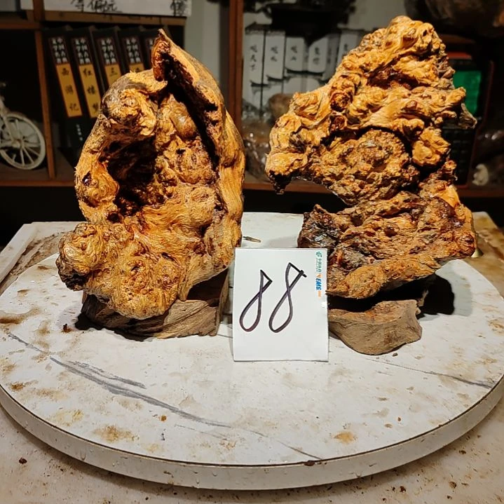 松木大***侠88号北沉香琥珀木天然造型