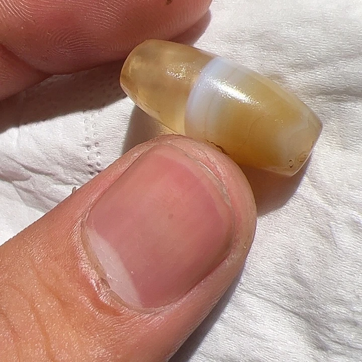 香榧木你的时候我